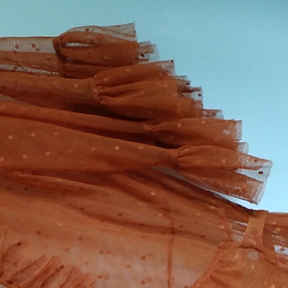 Wax Poetic Isabell Dot Mesh Dress SOLD OUT - Picture 5 of 10